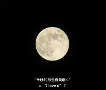 今晚突围战来临，葡萄牙体育围绕法国杯手感冰凉，震撼外界，数据趋势出现新变化(今日法国杯最新战况火热豪门对决)